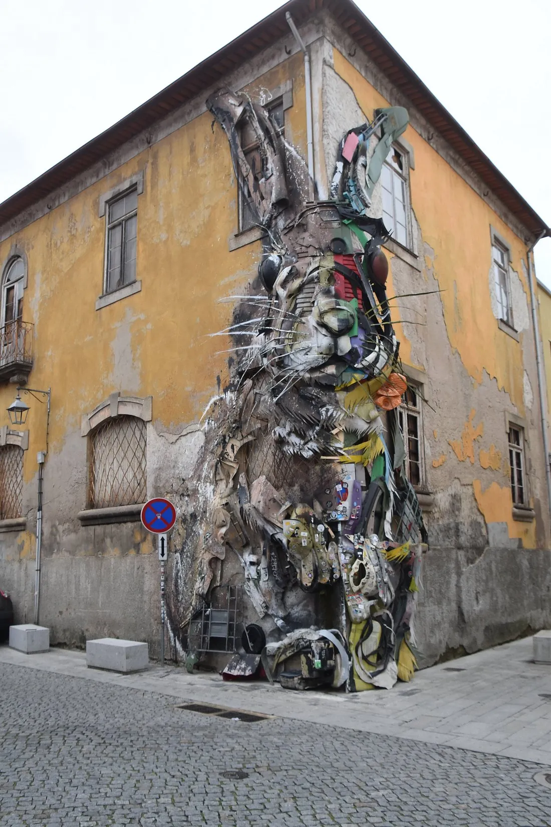 Half Rabbit